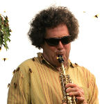 Bug Music and the Songs of the Forest