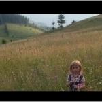 Film Message from Gyimes