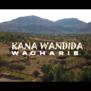 WaCharie's "Kana Wandida" Video: A Celebration of Love and Beauty.